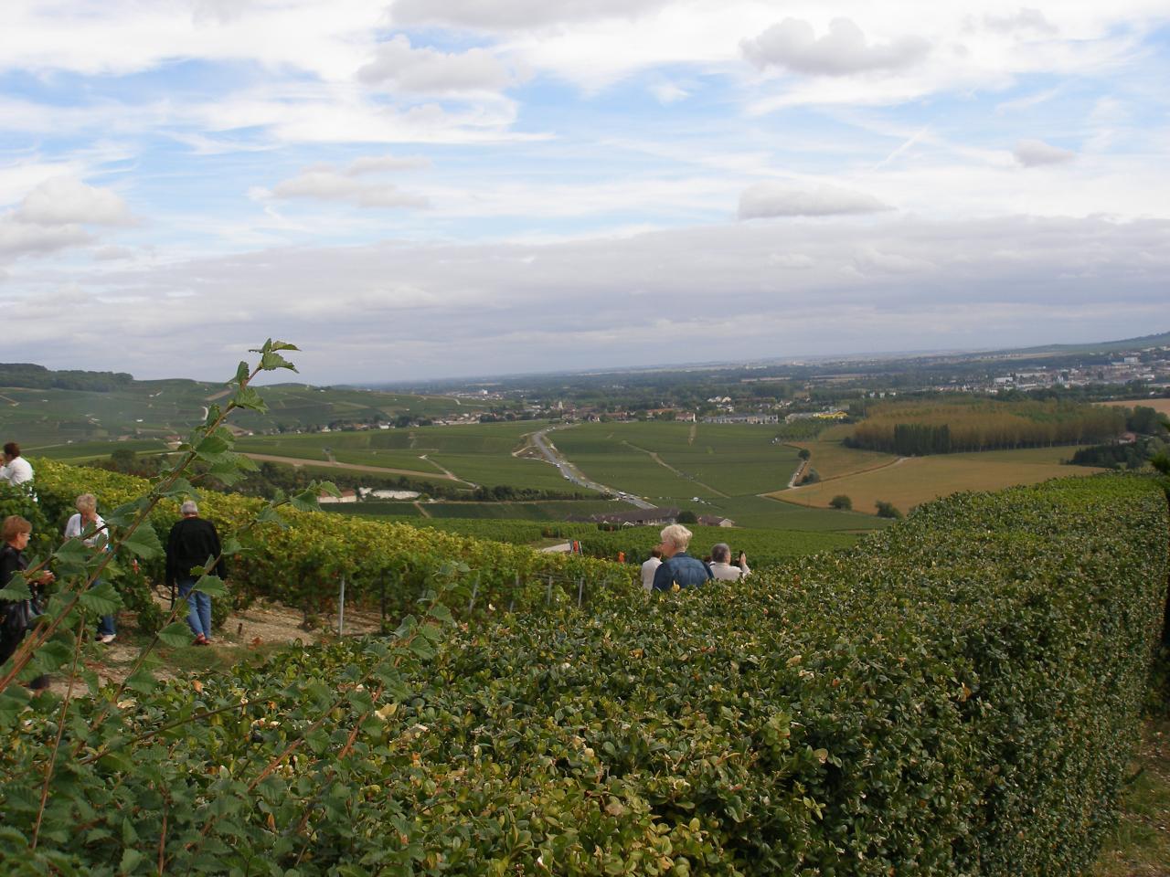 Le mesnil sur Oger (121)