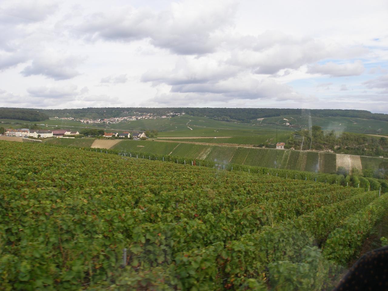 Le mesnil sur Oger (130)