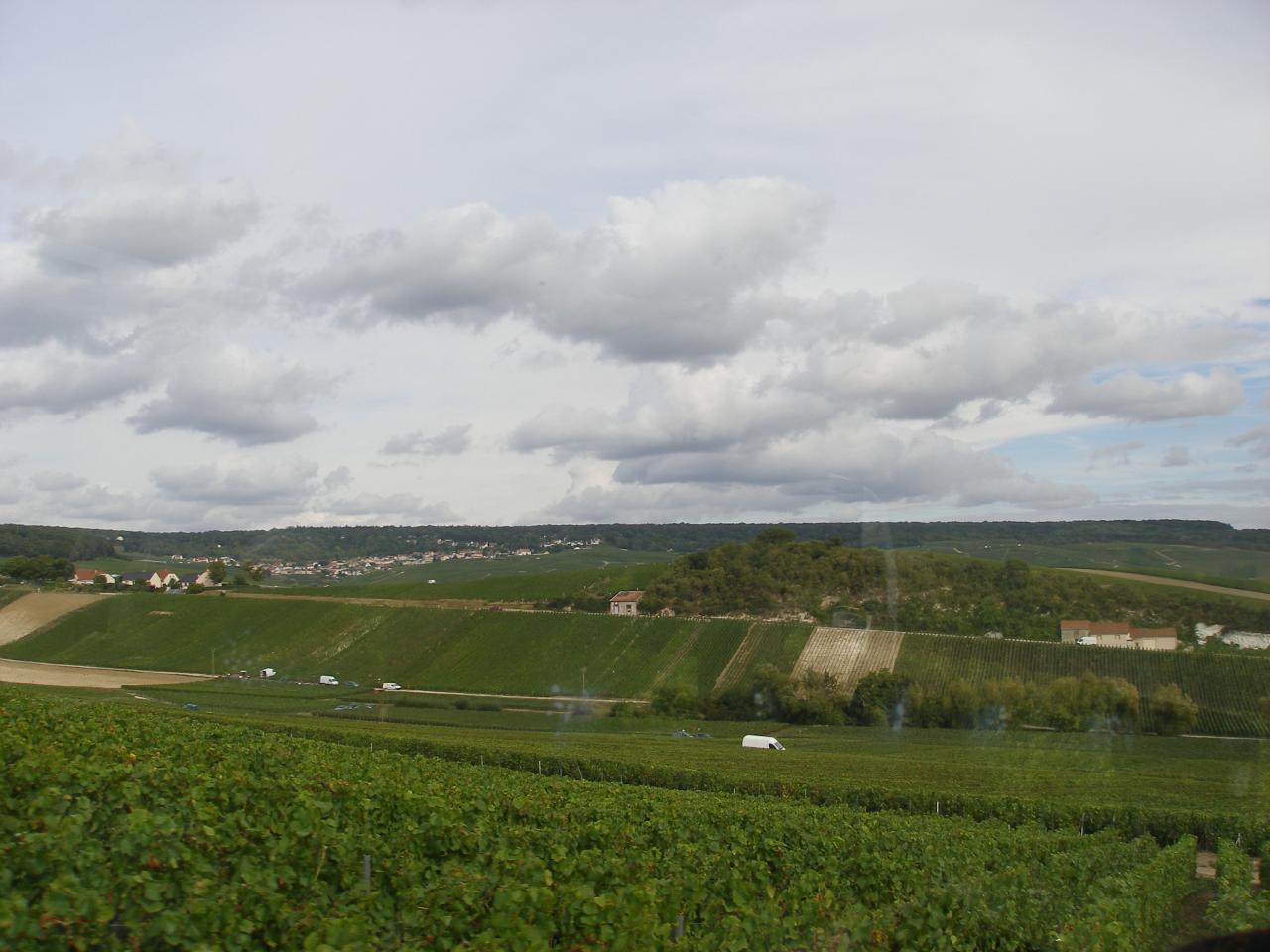 Le mesnil sur Oger (131)