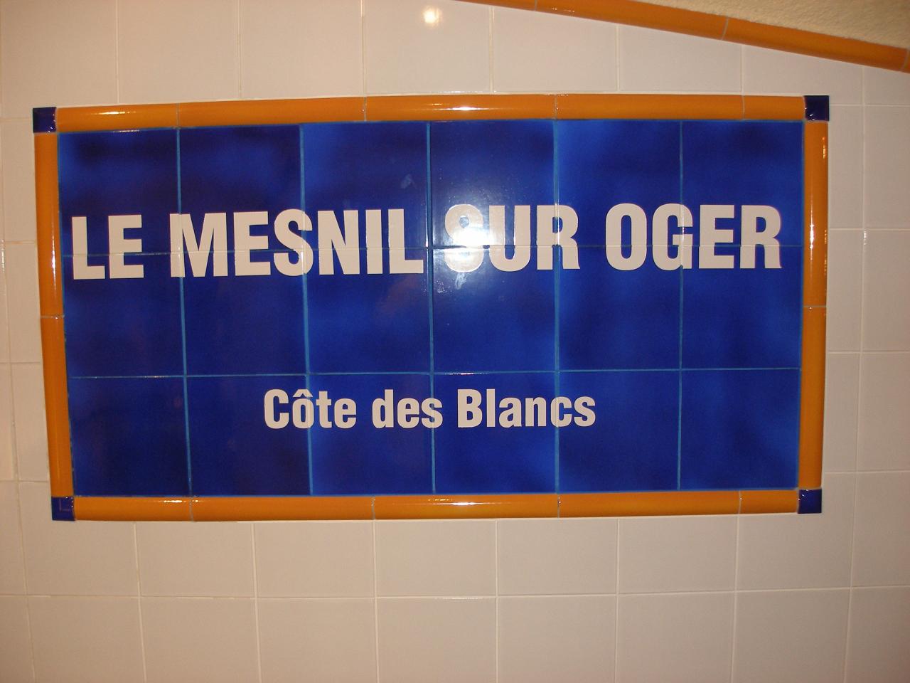 Le mesnil sur Oger (82)