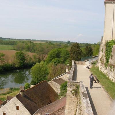 Fête des grenouilles PESMES (70)